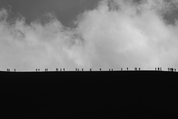 Formiche sull'Etna